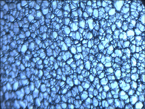 ������xps���ܰ�